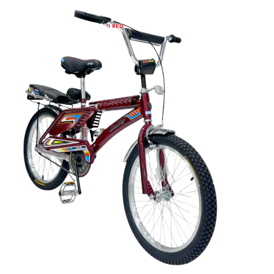 صورة دراجة رالي للأطفال 20 بوصة